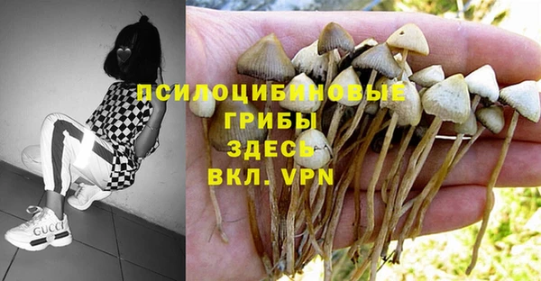 гашиш Магадан