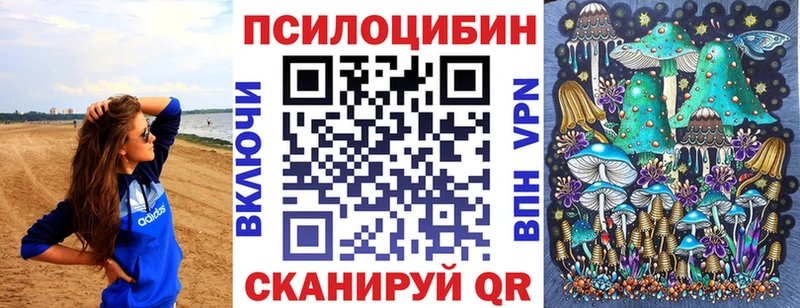 купить закладку  blacksprut сайт  Псилоцибиновые грибы Psilocybe  Стерлитамак 
