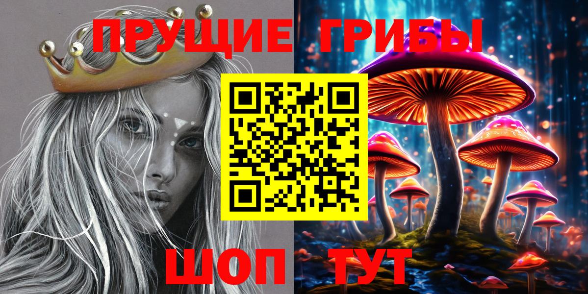 Псилоцибиновые грибы GOLDEN TEACHER Стерлитамак