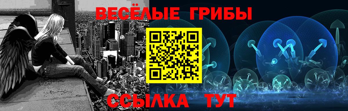 Стерлитамак  Галлюциногенные грибы мицелий  Вход с VPN 